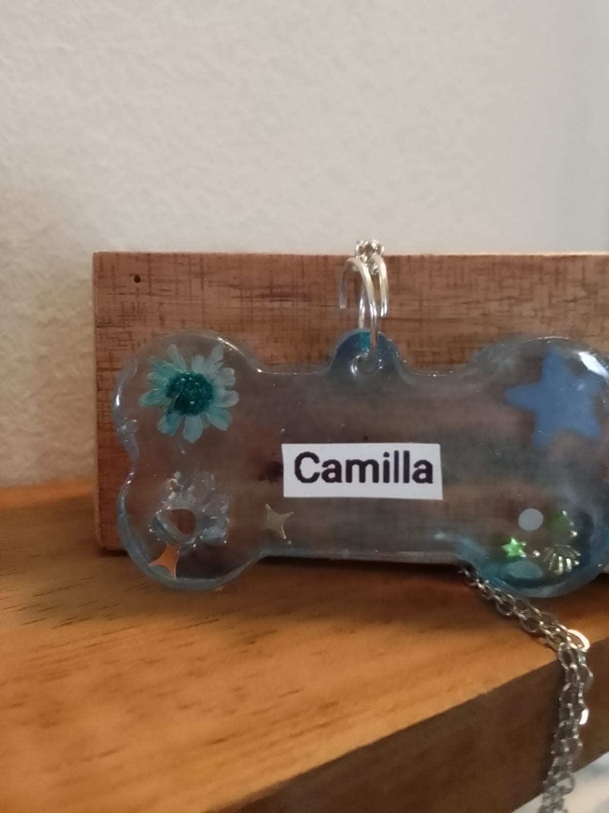 Medaglietta per cani a forma di osso in resina trasparente con nome